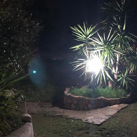 Sarrala Lägenhet Tertenìa Exteriör bild